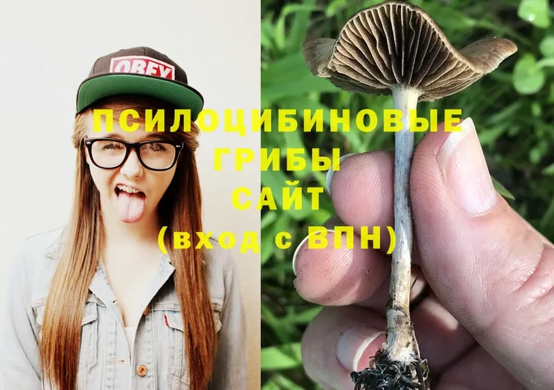 Галлюциногенные грибы Cubensis  Чебоксары 